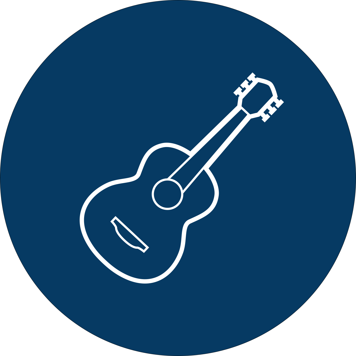 Stålsträngade Gitarrer