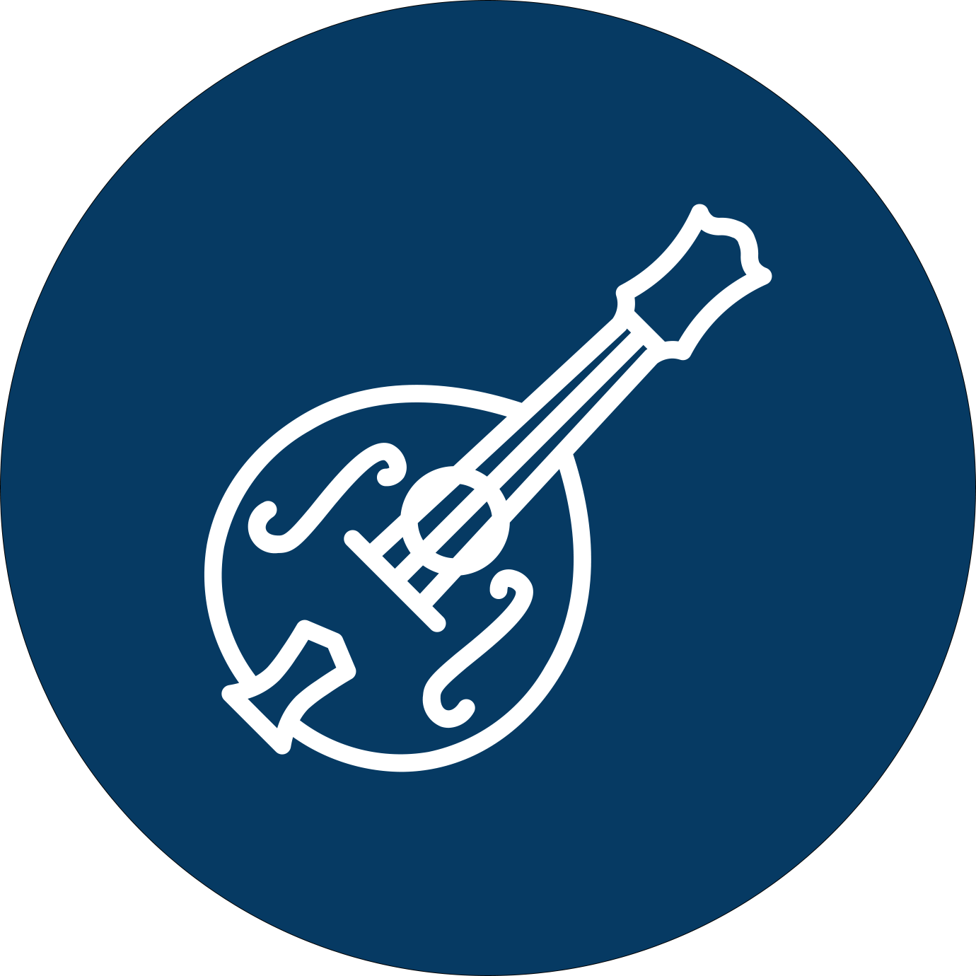 Övriga Stränginstrument