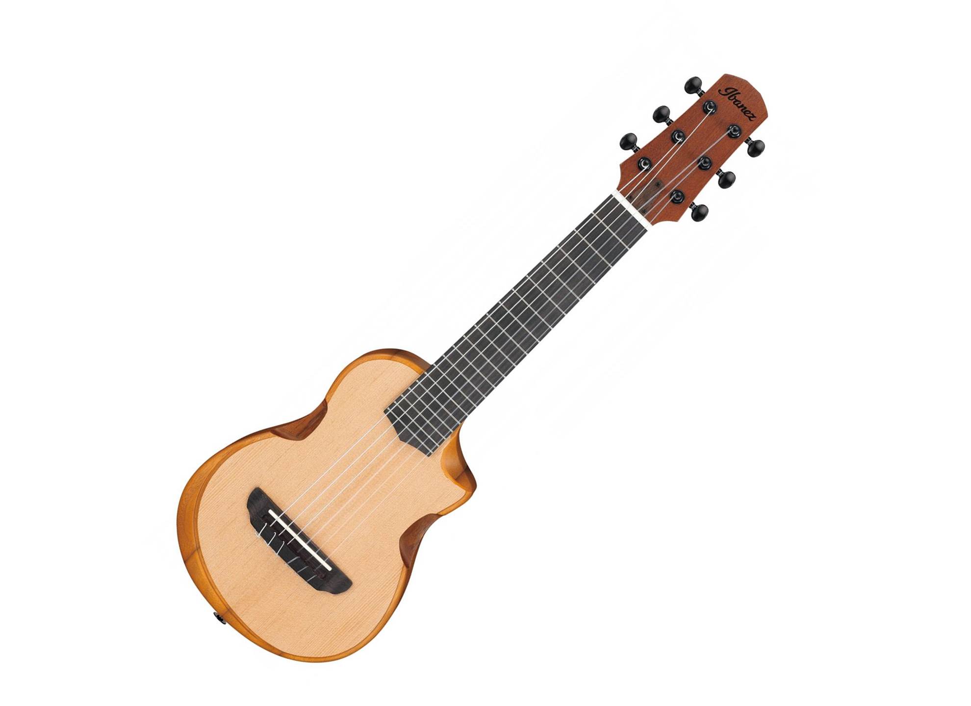 Ibanez AUP10N-OPN