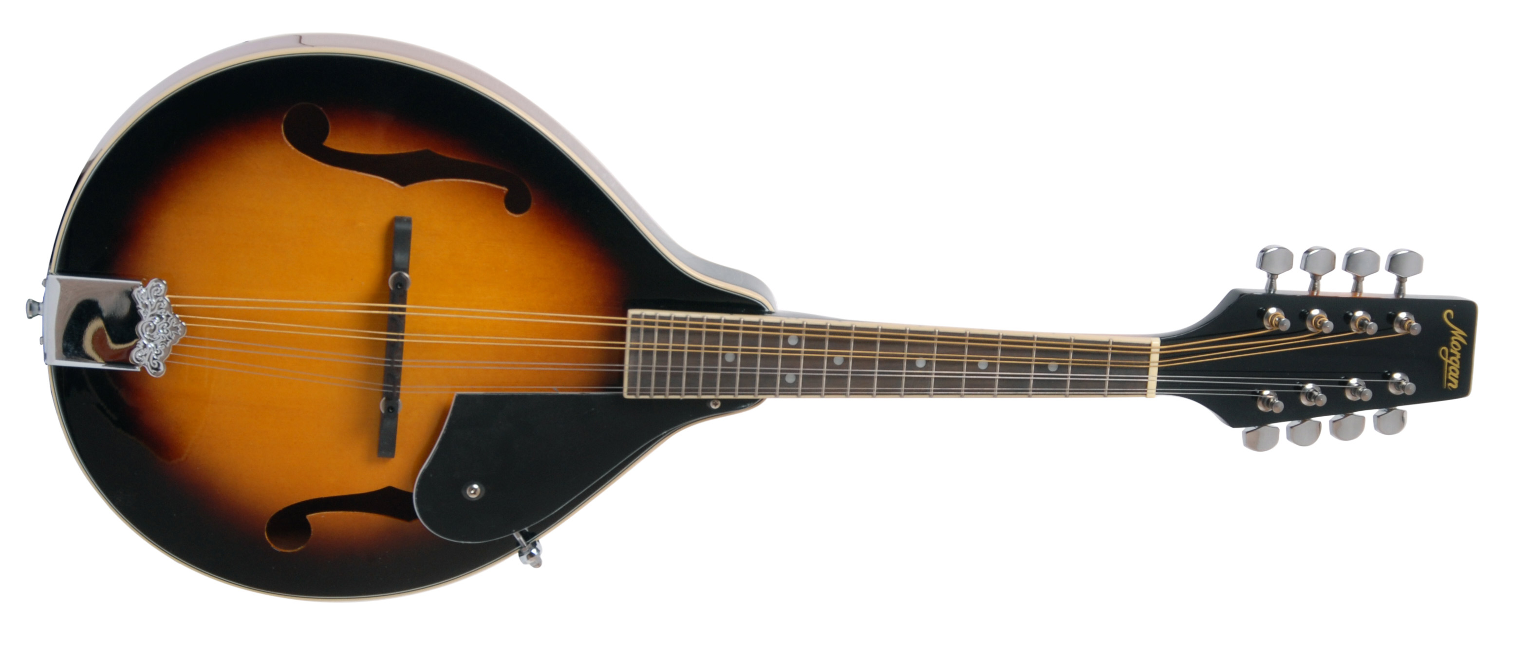 Morgan Mandolin M 20 Vs