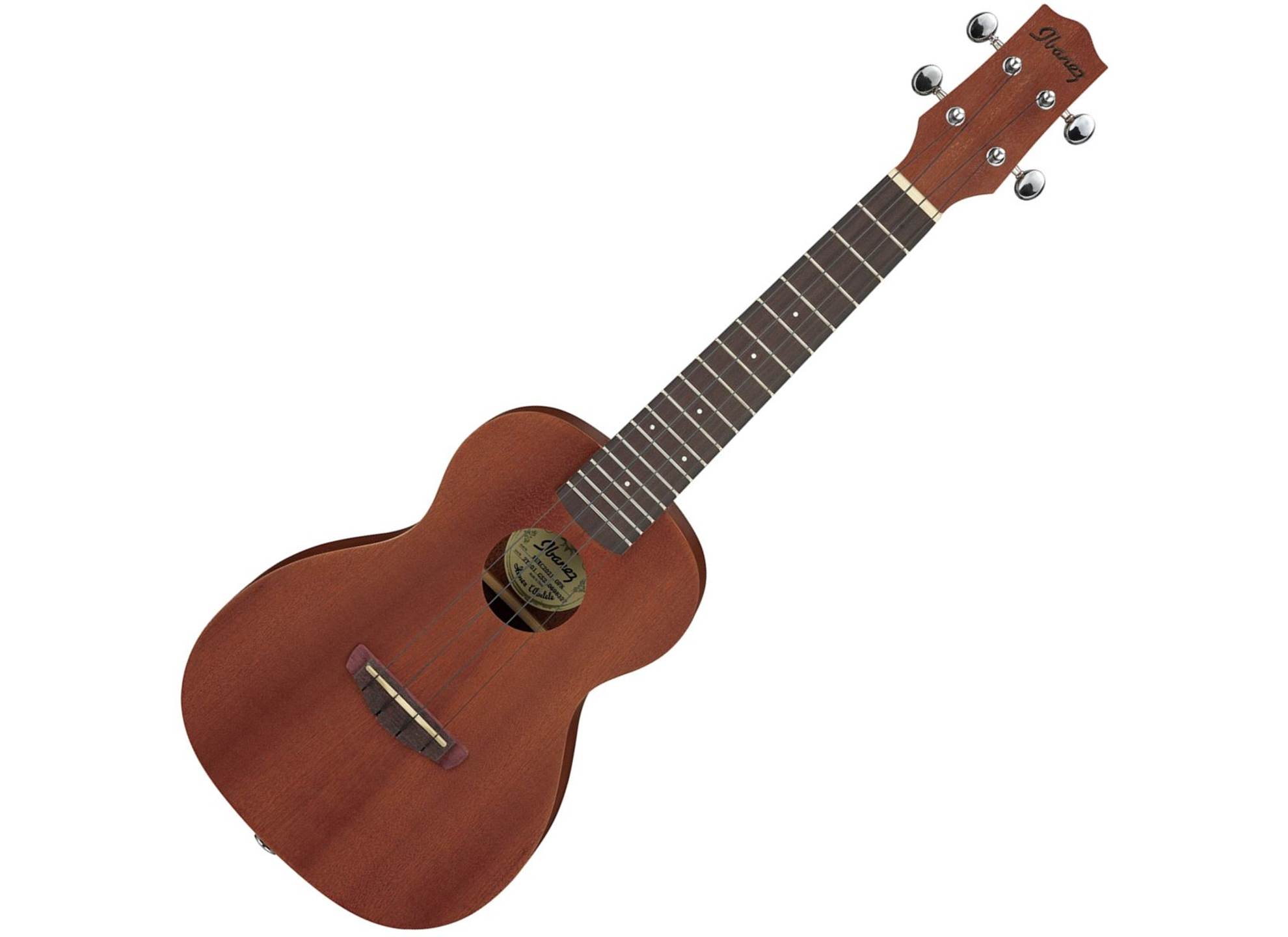 Ibanez UKC100