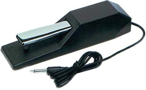 Korg DS1H