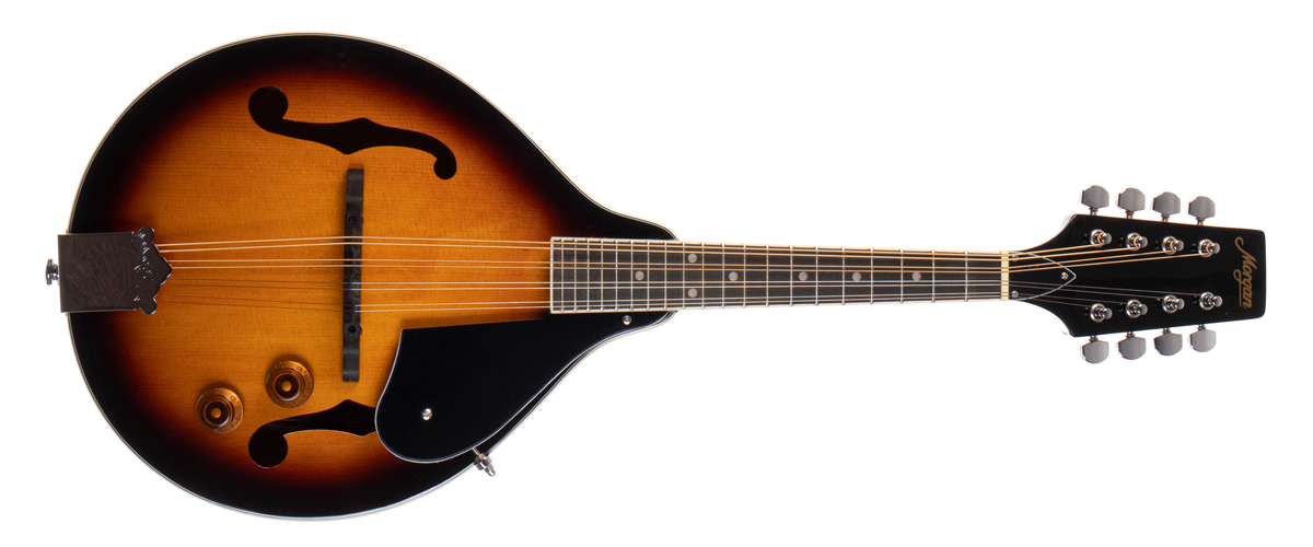 Morgan Mandolin M 20 E Vs