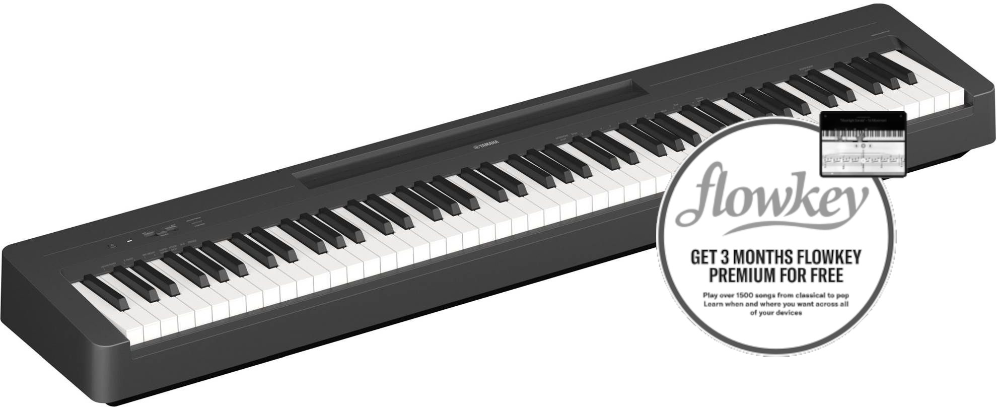 Yamaha P-145B